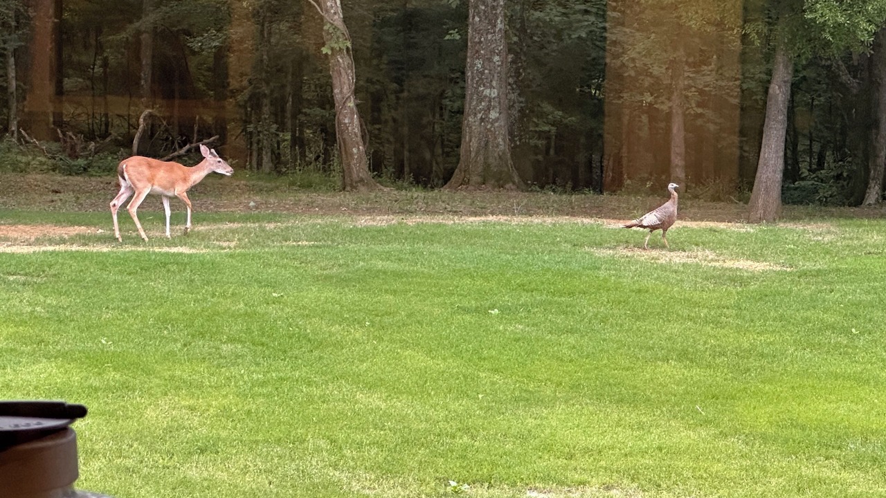 Photo of Others in Hernando