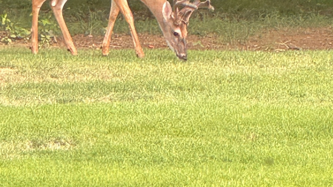 Photo of Others in Hernando