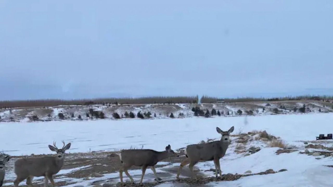 Photo of Others in Craik