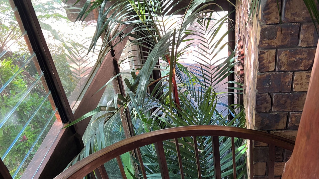 Photo of Outdoor in Yungaburra