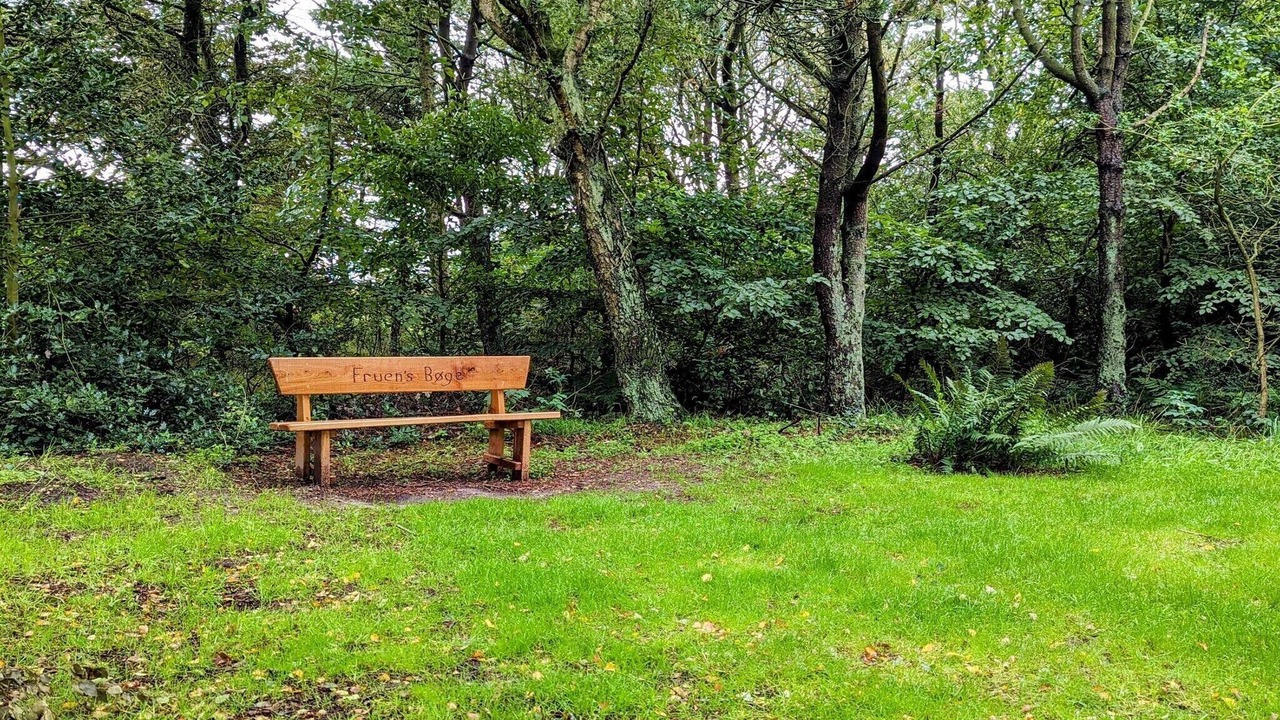Photo of Outdoor in Ringkobing