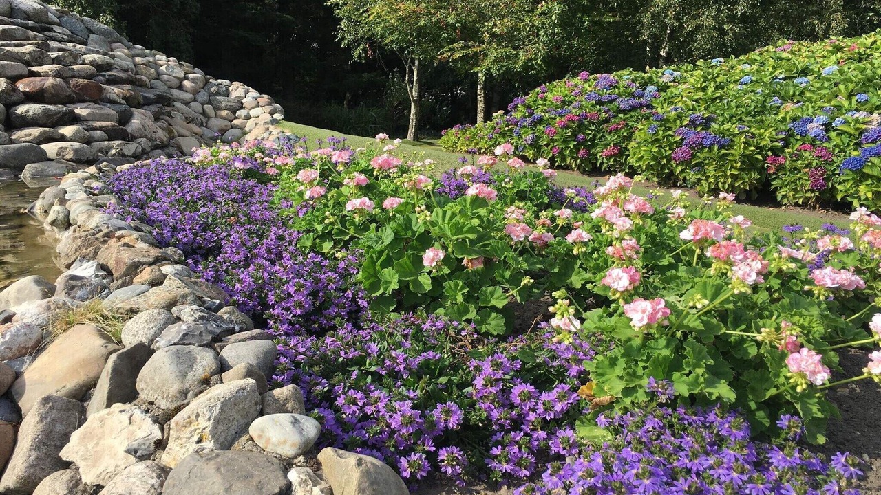 Photo of Outdoor in Ringkobing