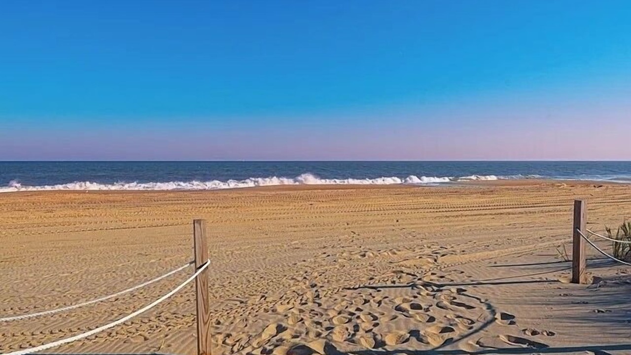 Photo of Others in North Ocean City