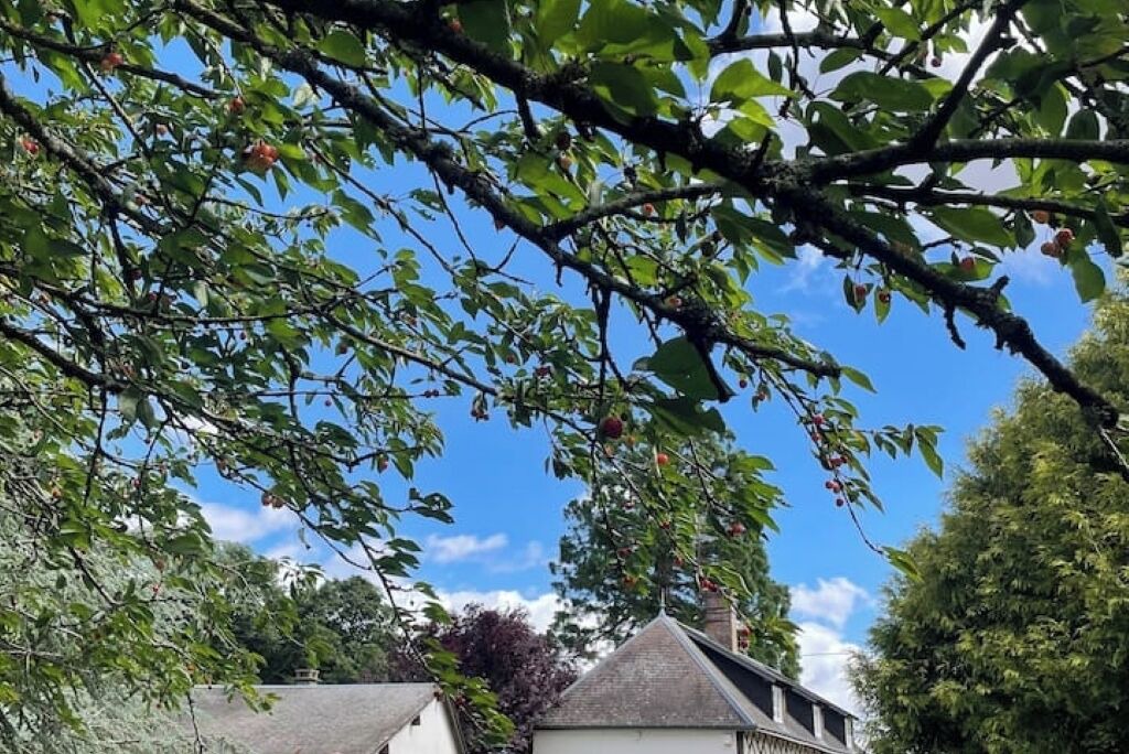 Photo of Others in Marbois