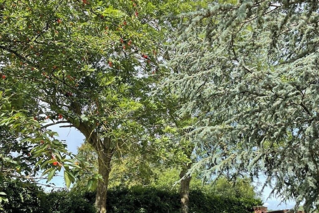 Photo of Others in Marbois