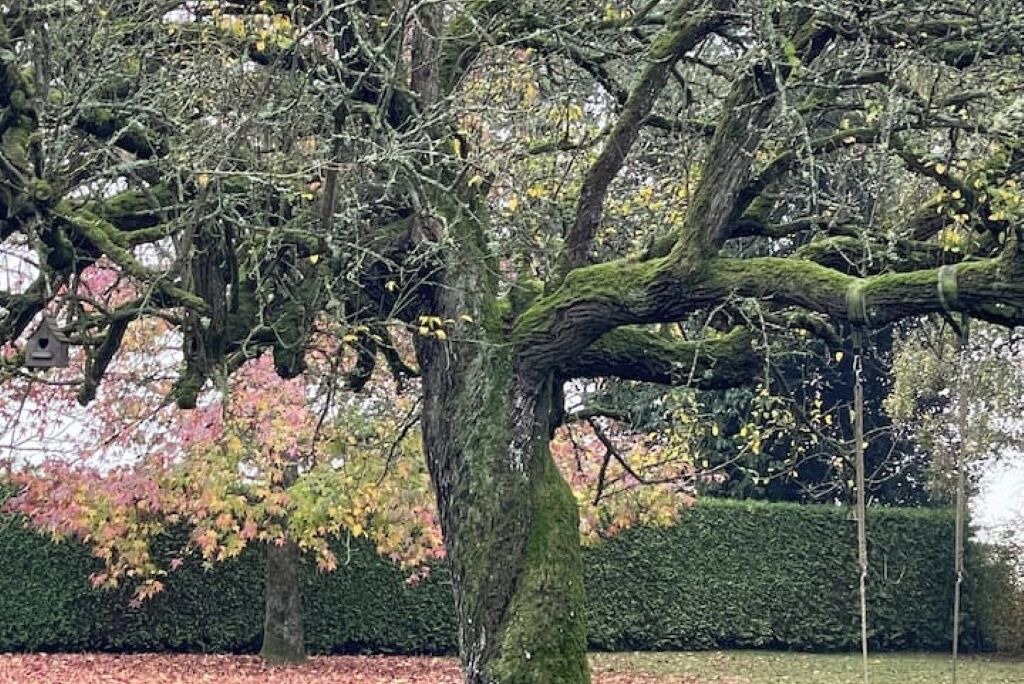 Photo of Others in Marbois