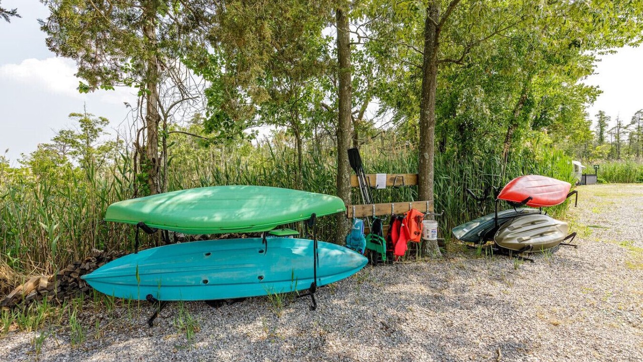 Photo of Others in Forked River