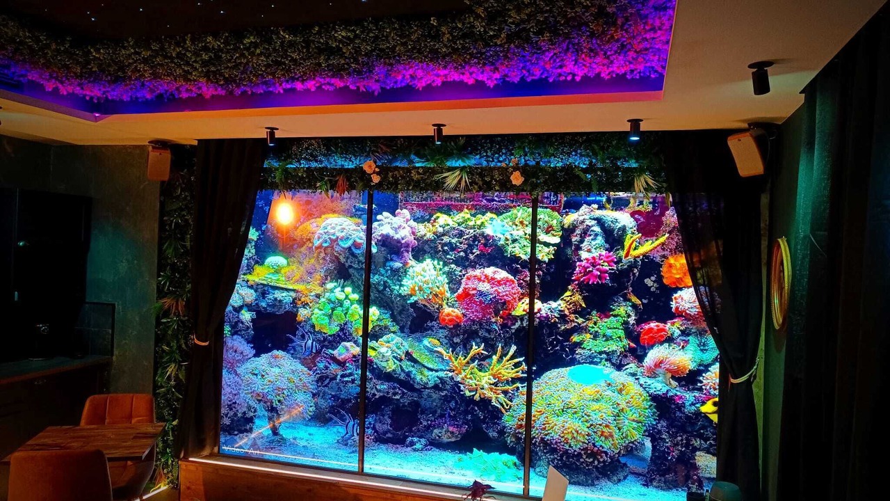 Photo of Others in Charleval