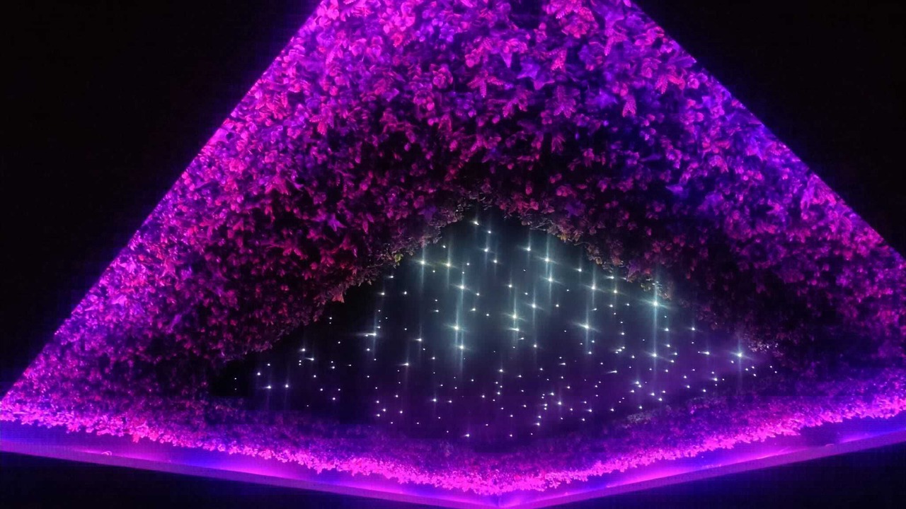 Photo of Others in Charleval