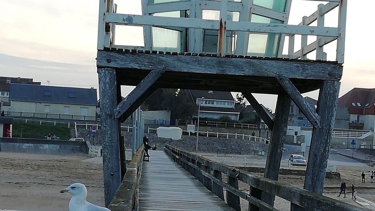 Photo of Others in Langrune-sur-Mer