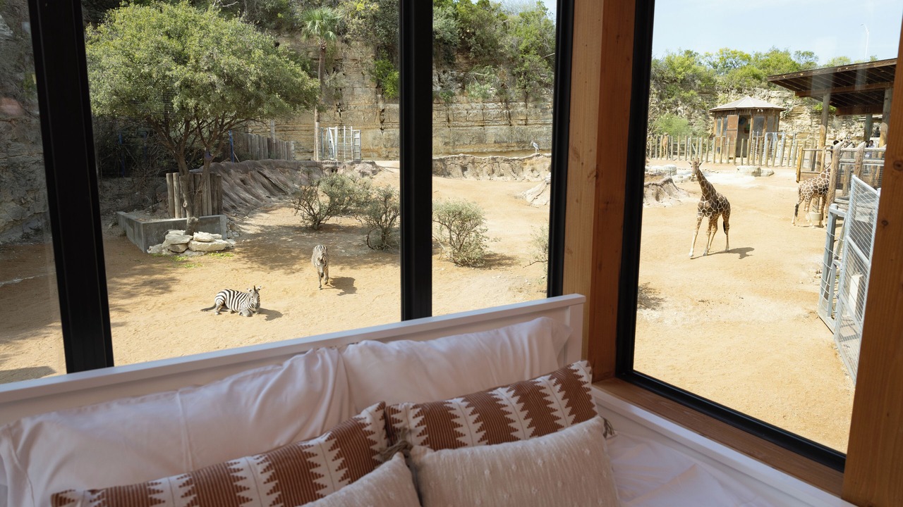 Photo of Bedroom in San Antonio