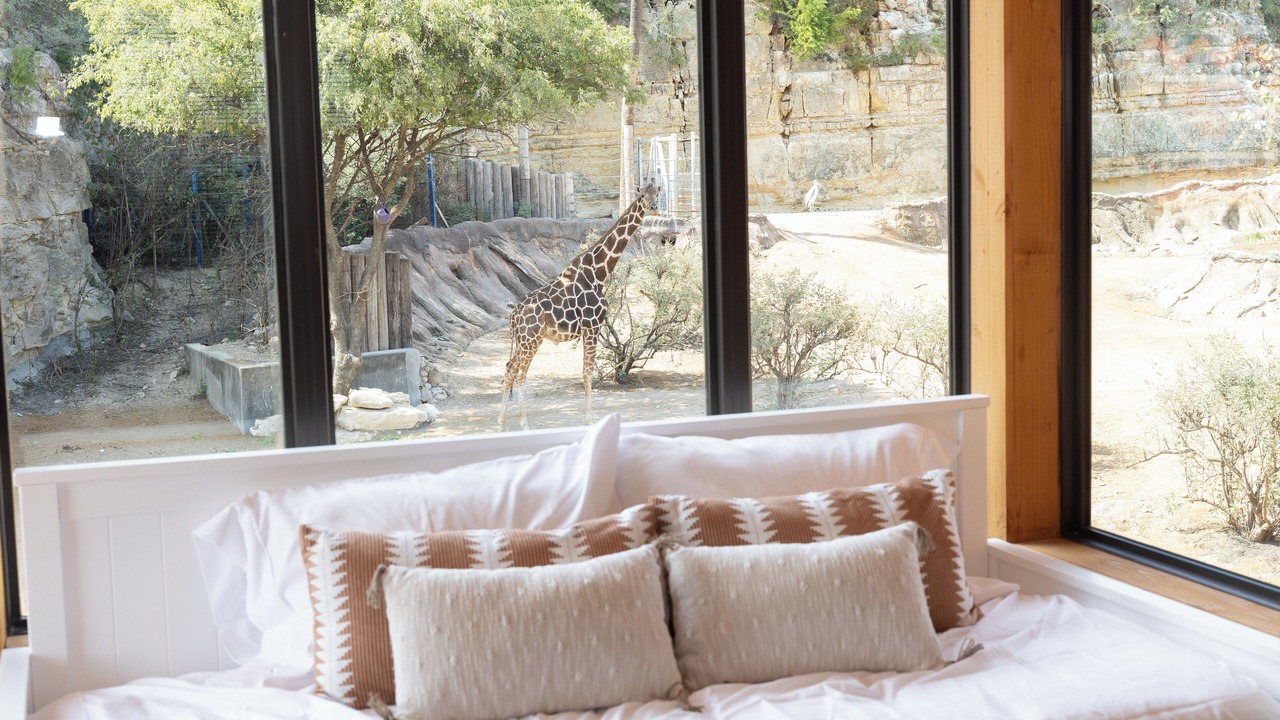 Photo of Bedroom in San Antonio