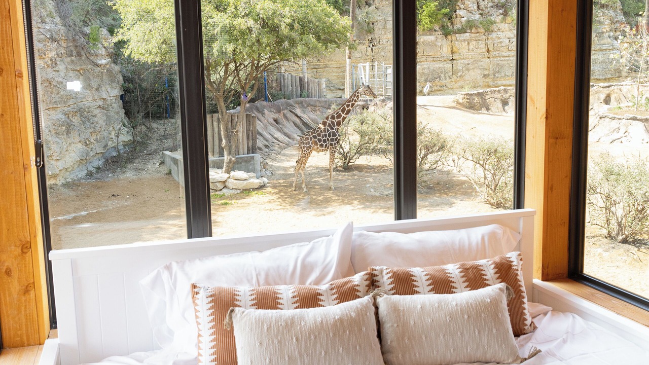 Photo of Bedroom in San Antonio