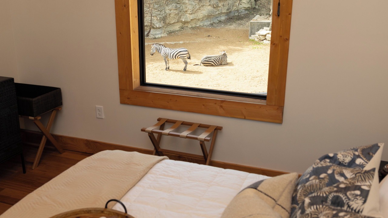 Photo of Bedroom in San Antonio