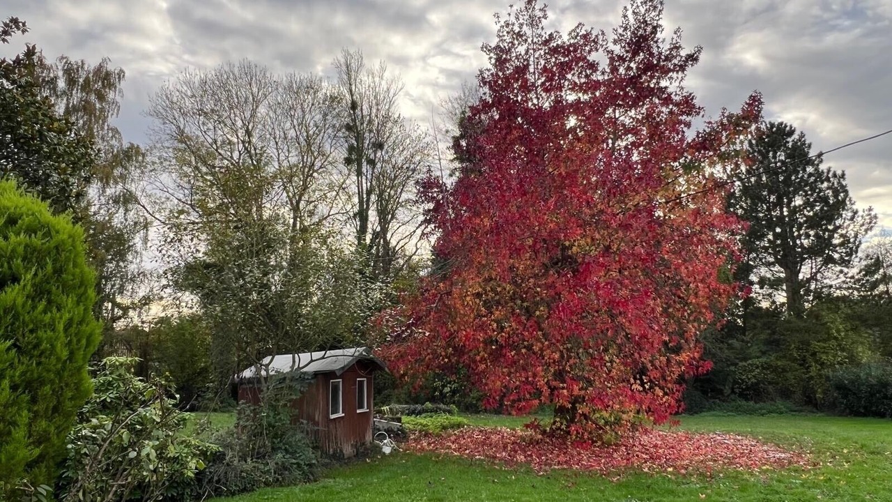 Photo of Outdoor in Tourgeville
