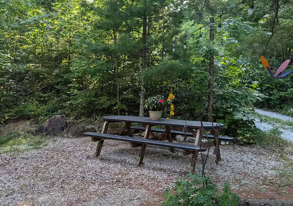 Photo of Outdoor in Tay Valley