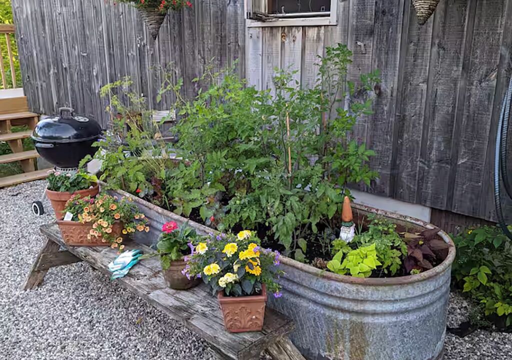 Photo of Outdoor in Tay Valley