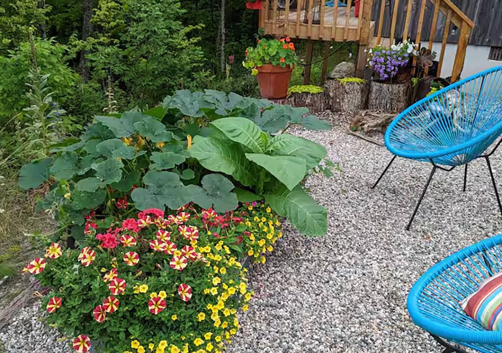 Photo of Patio Balcony in Tay Valley