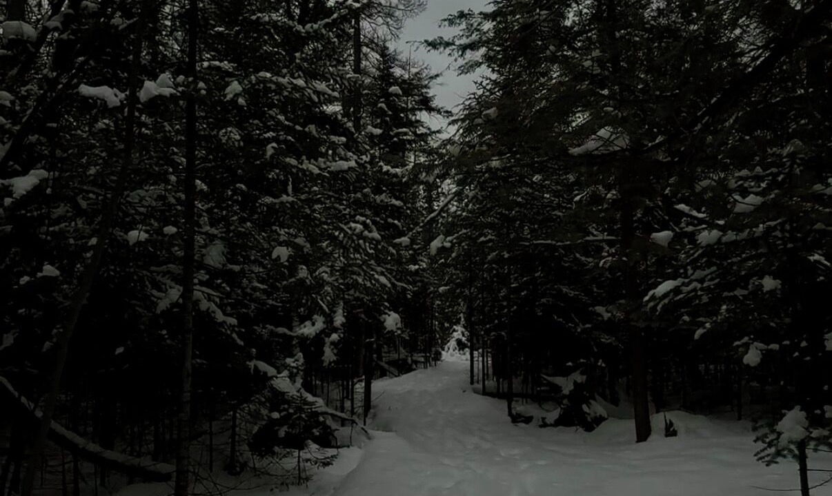 Photo of Others in Boyne City