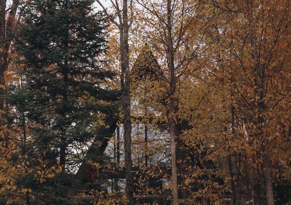 Photo of Others in Boyne City