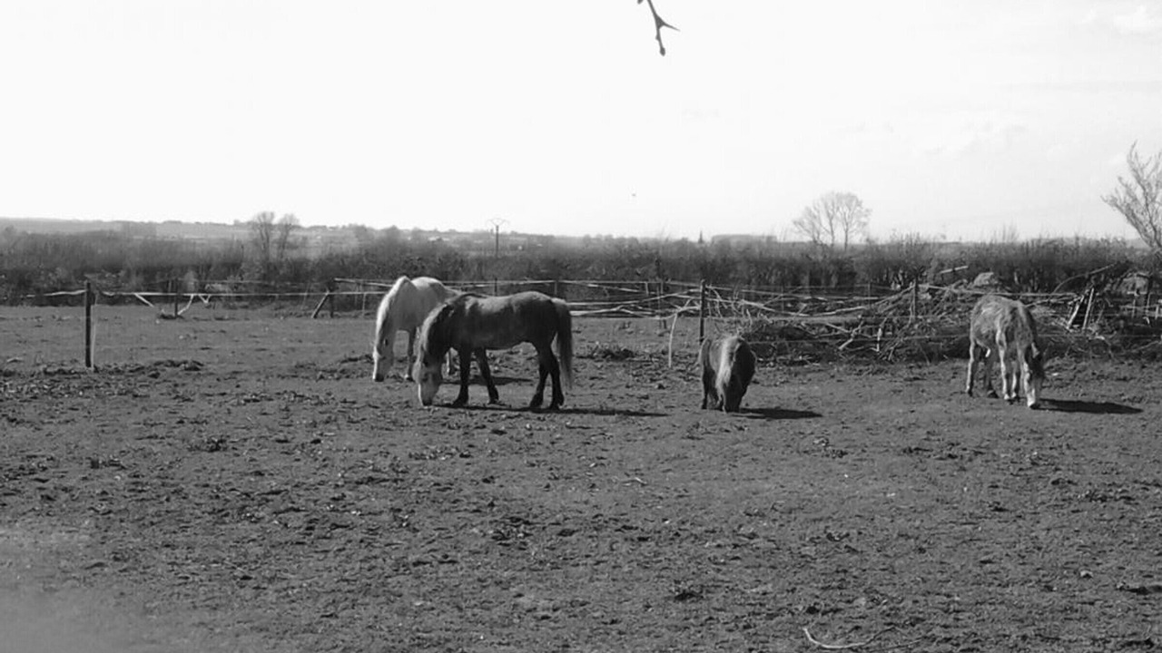Photo of Others in Meteren