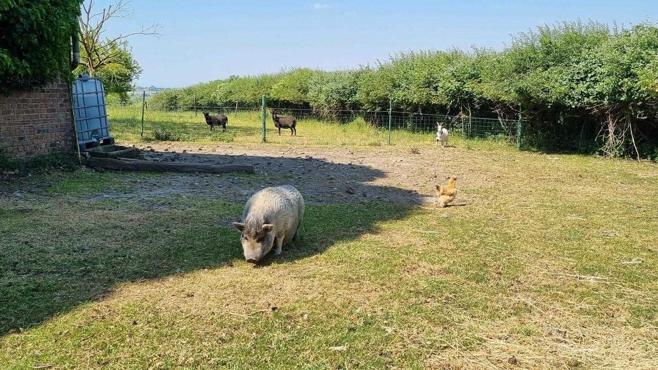 Photo of Others in Meteren