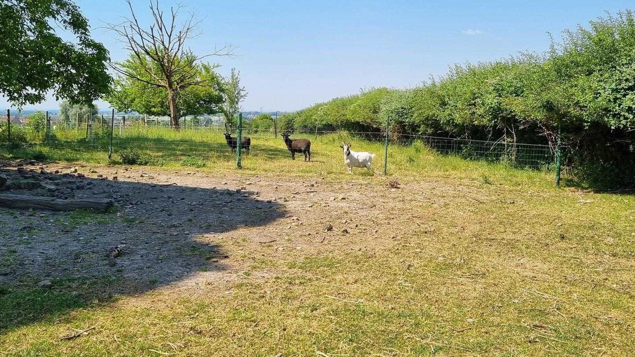 Photo of Others in Meteren