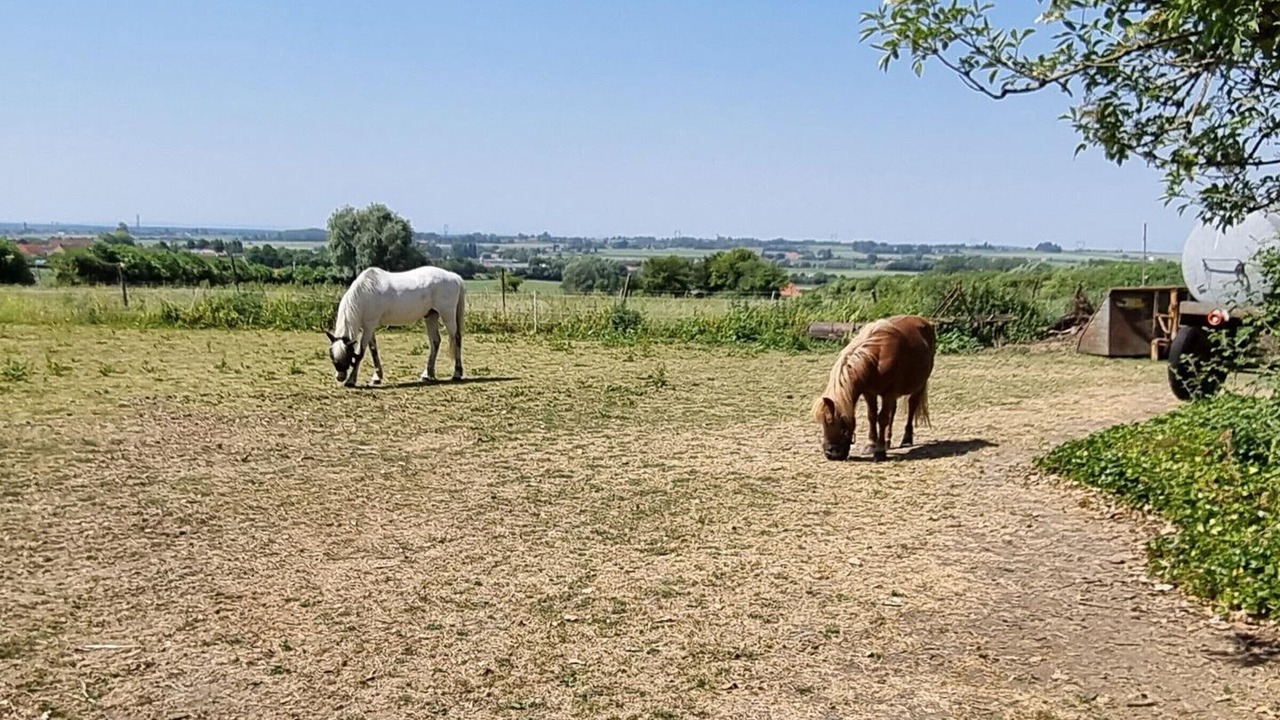 Photo of Others in Meteren