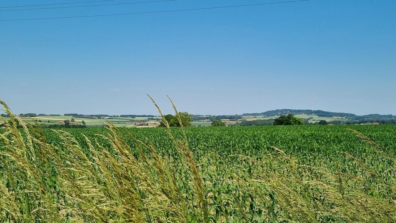 Photo of Others in Meteren