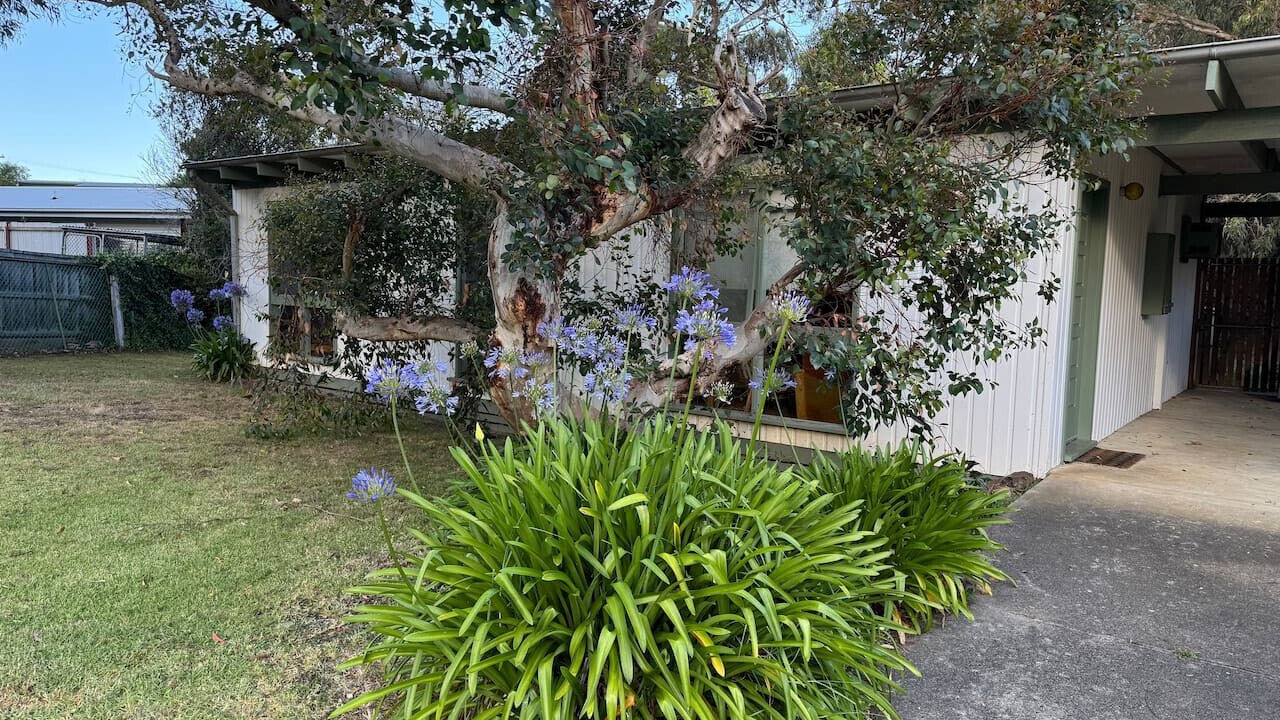 Photo of Outdoor in Jan Juc