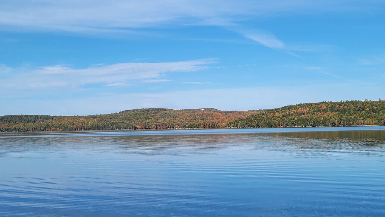 Photo of Others in Orrington