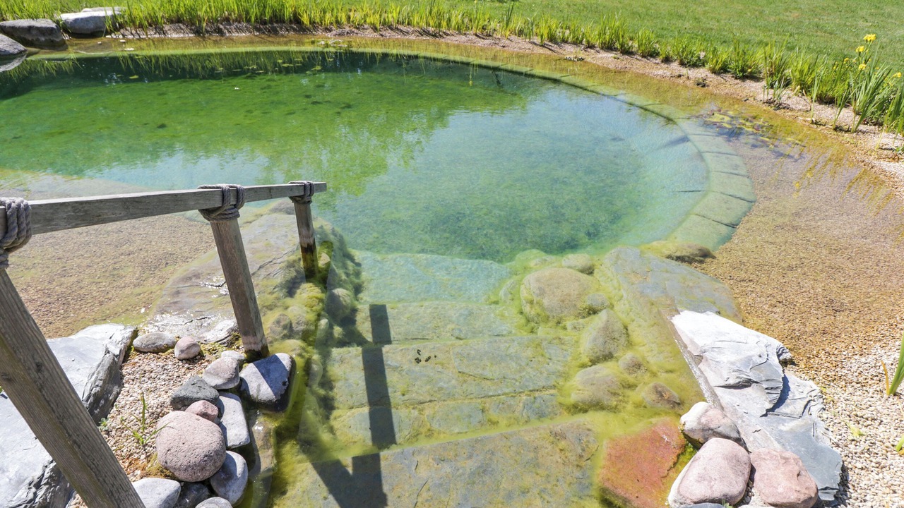 Photo of Others in South Leigh