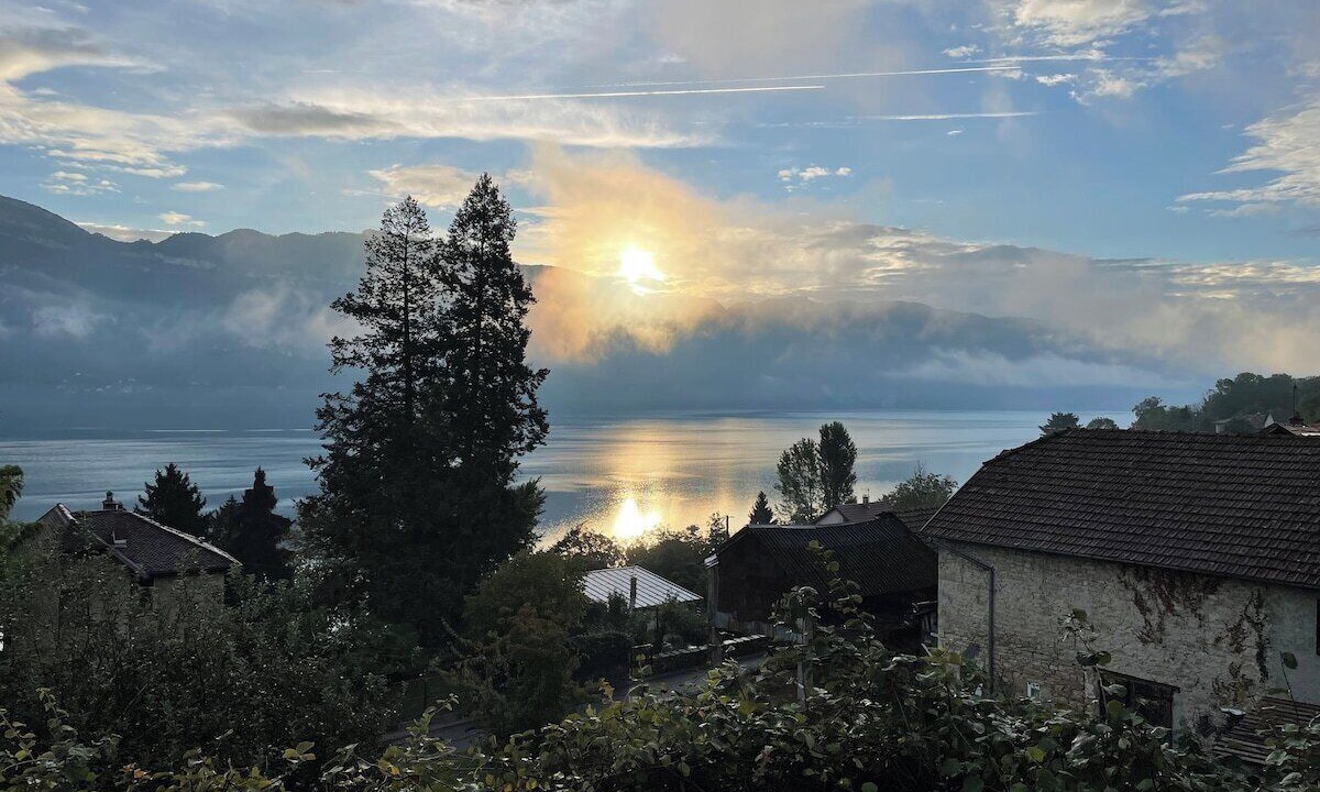 Photo of Others in Conjux