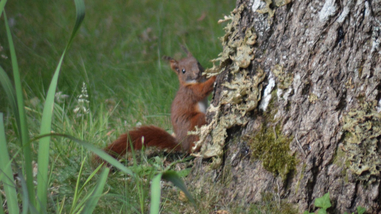 Photo of Others in Pissos
