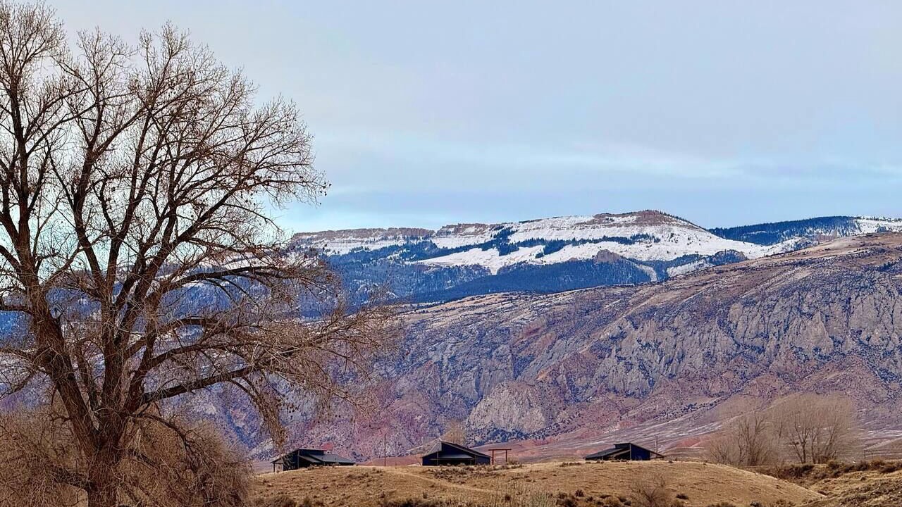 Photo of Others in Shell