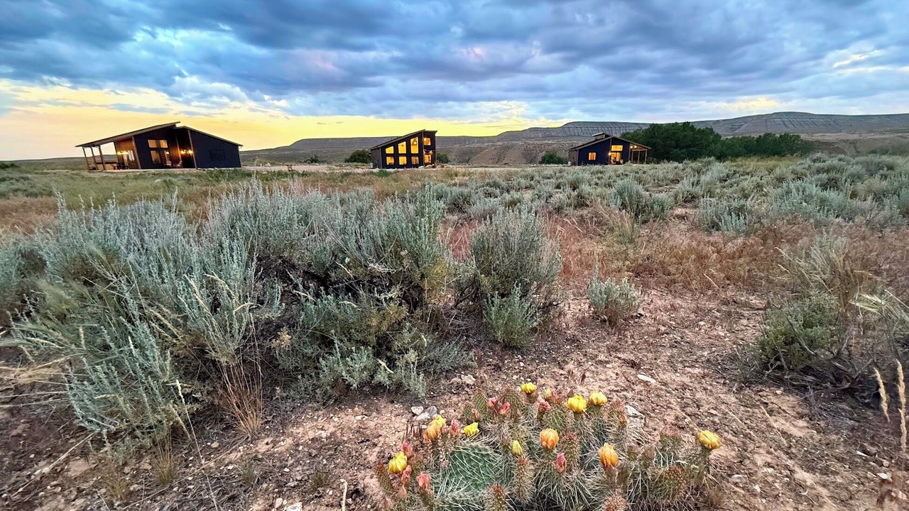 Photo of Others in Shell