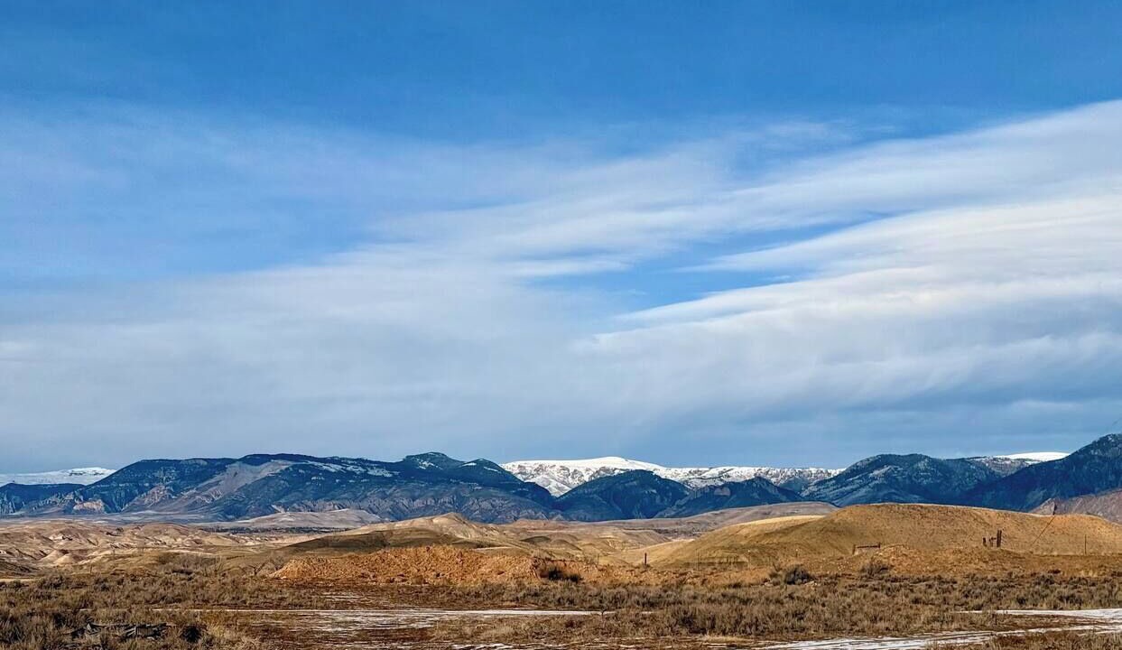 Photo of Others in Shell