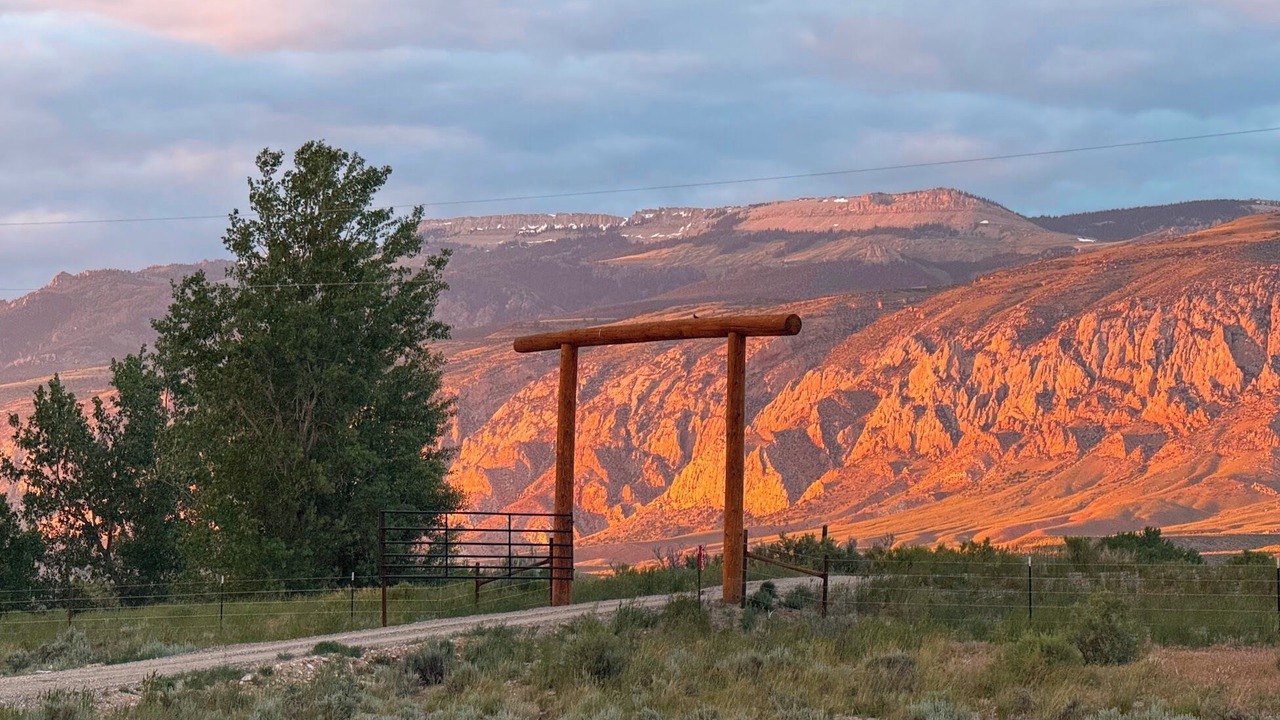 Photo of Others in Shell