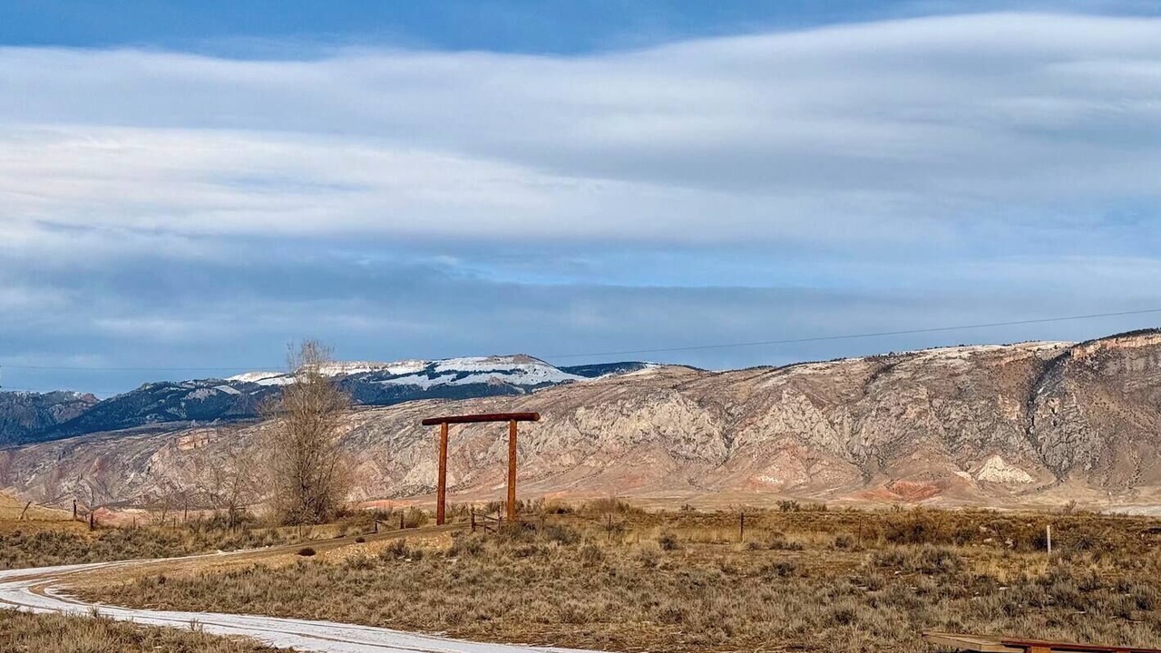 Photo of Others in Shell