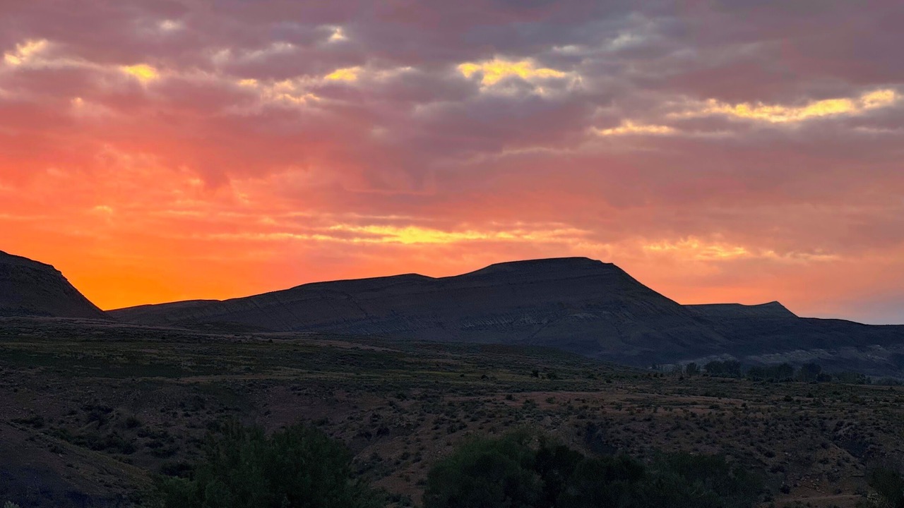 Photo of Others in Shell