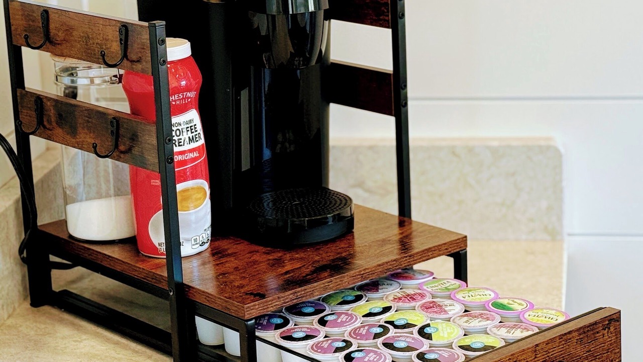 Photo of Others in Shell