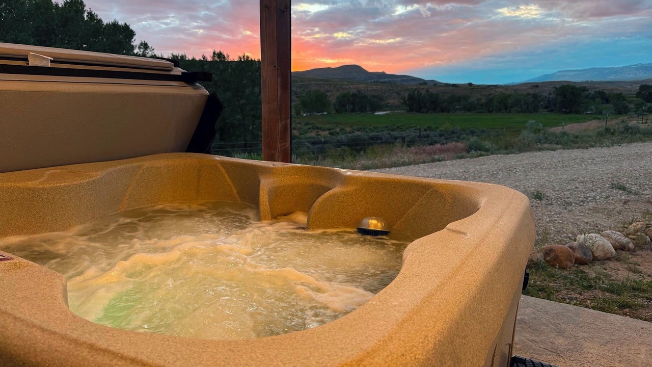 Photo of Others in Shell