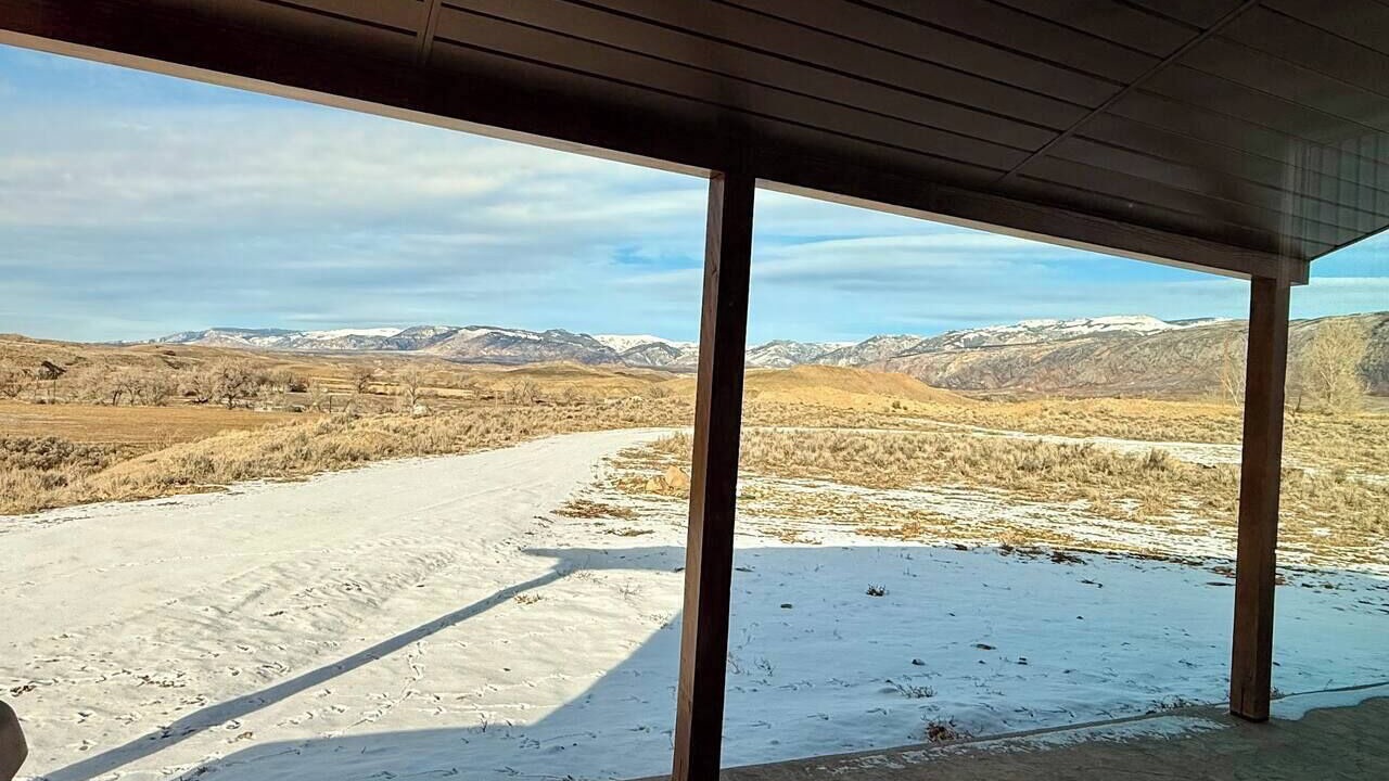 Photo of Others in Shell