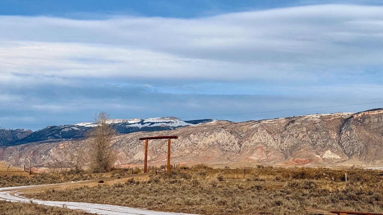 Photo of Others in Shell