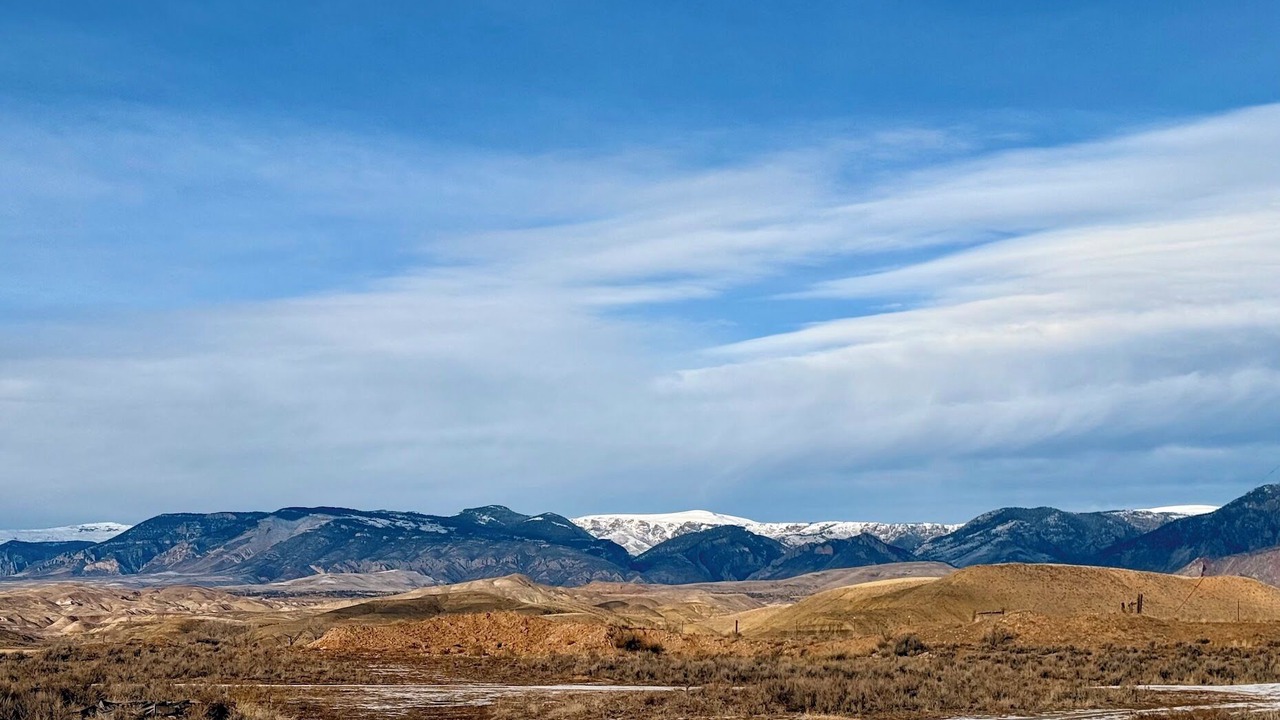 Photo of Others in Shell