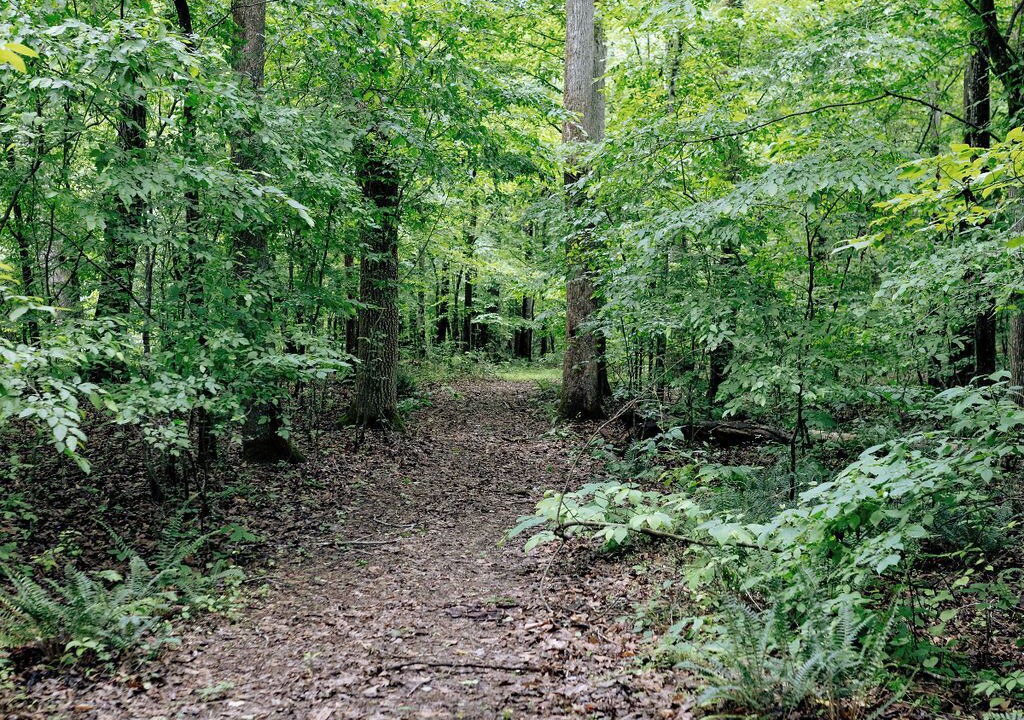Photo of Others in Fairburn