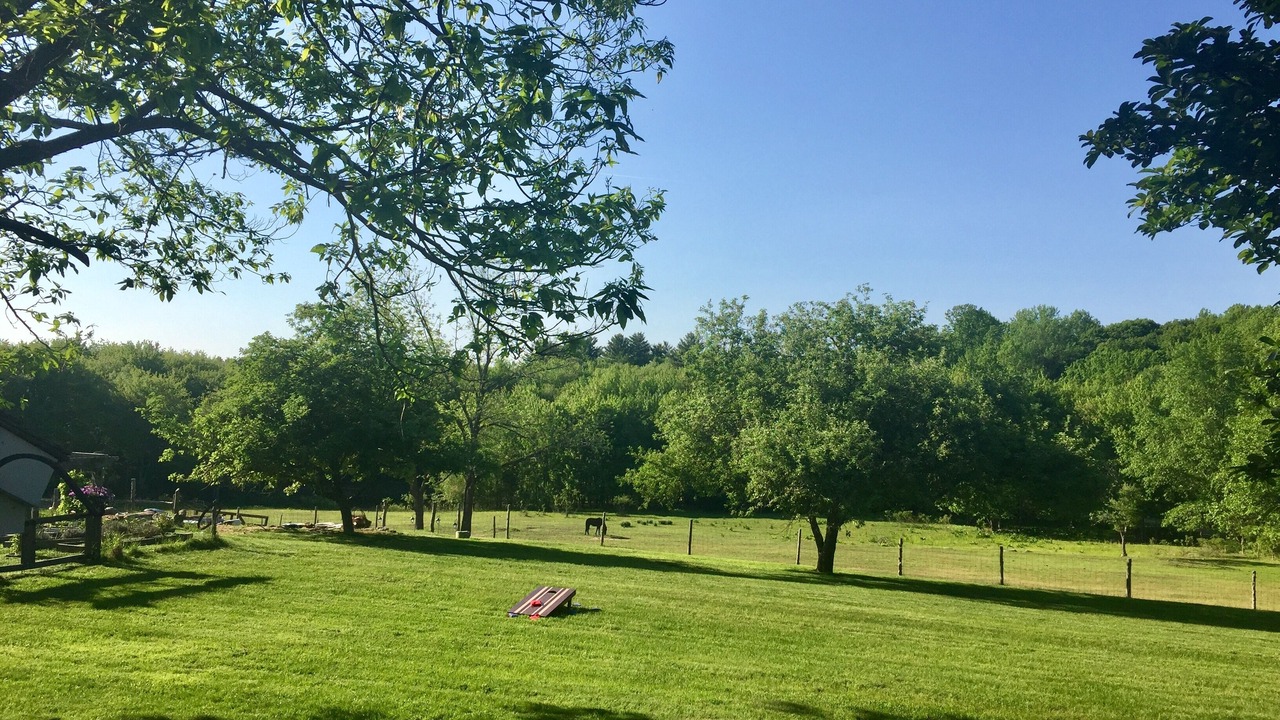 Photo of Others in Glastonbury