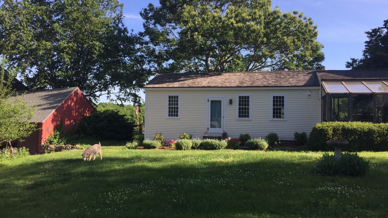 Photo of Outdoor in Glastonbury
