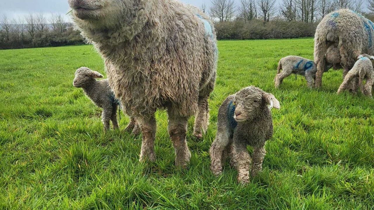 Photo of Others in Keenthorne