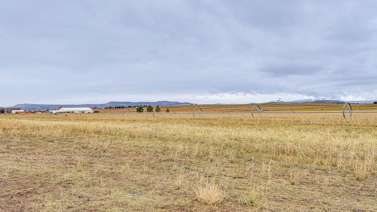 Photo of Others in Dairy